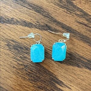 Light Blue Earrings